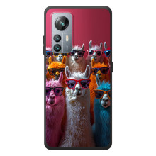 Чохол з принтом стильні тварини для Чорнов'ю А85 (Лами в окулярах)