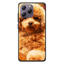 Чехлы с собаками для Blackview A96 (VPrint) – Щенок Бишон