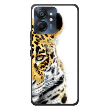 Чехлы с картинками животных Blackview Color 8 (Леопард)