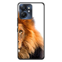 Чехлы с картинками животных Blackview Color 8 (Лев грива)