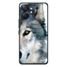 Чехлы с картинками животных Blackview Color 8 (Волк)