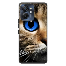 Чохли з Котиками для Blackview Color 8 (VPrint)