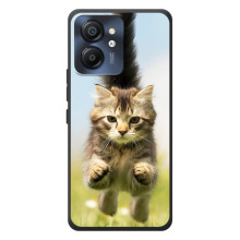 Чохли з Котиками для Blackview Color 8 (VPrint) – Прижок кота