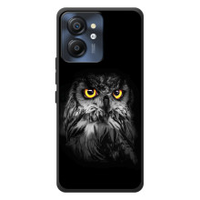 Чехлы с принтом СОВЫ для Blackview Color 8 (Сова на чёрном)