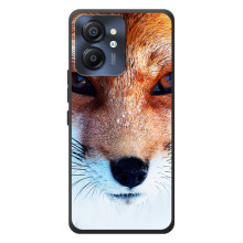 Чехол с Лисичкой для Blackview Color 8 (Рыжая Лисичка)