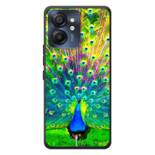 Чохол з пташками на Blackview Color 8 (VPrint) – Яскравий Павлин