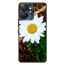 Чехол с ромашками на Blackview Color 8 (Белая ромашка)