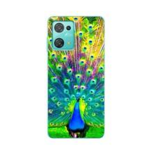 Чохол з пташками на Blackview Oscal C30 (VPrint)