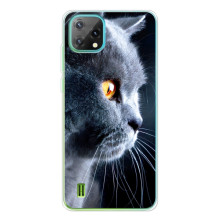 Чехол с милыми котиками на Чёрнаямью Осгал С60 – Брытанский кот