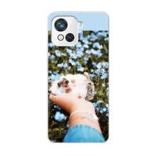 Чехлы с изображением разных животных для Blackview Oscal C80 (Ежик на руках)