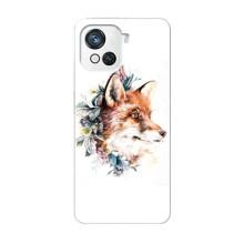 Чехлы с картинкой Лисички для Blackview Oscal C80 (VPrint) (Лисичка в цветочках)