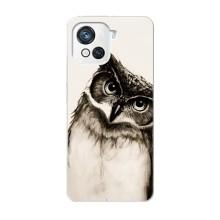 Чехол с птицами на Blackview Oscal C80 (VPrint)