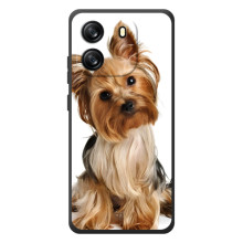 Чехол (ТПУ) Милые собачки для Blackview Oscal Flat 1C (Собака Терьер)