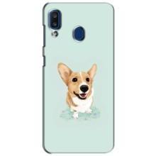 Чехлы с собаками для Samsung Galaxy a20 2019 (A205F) (VPrint) – Корги
