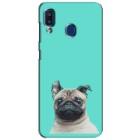 Бампер для Samsung Galaxy a20 2019 (A205F) с картинкой "Песики" (Собака Мопс)