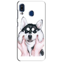 Бампер для Samsung Galaxy a20 2019 (A205F) с картинкой "Песики" (Собака Хаски)
