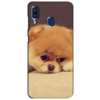 Чехол (ТПУ) Милые собачки для Samsung Galaxy a20 2019 (A205F) (Померанский шпиц)