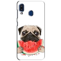 Чехол (ТПУ) Милые собачки для Samsung Galaxy a20 2019 (A205F) – Смешной Мопс