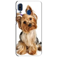 Чехол (ТПУ) Милые собачки для Samsung Galaxy a20 2019 (A205F) (Собака Терьер)