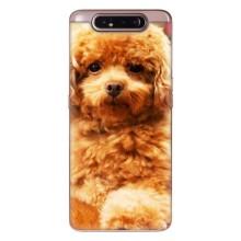 Чехлы с собаками для Samsung Galaxy a80 2019 ( A805F ) (VPrint) (Щенок Бишон)