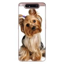 Чехол (ТПУ) Милые собачки для Samsung Galaxy a80 2019 ( A805F ) (Собака Терьер)