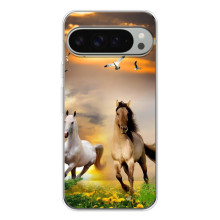 Чехлы с Лошадью дляGoogle Pixel 10 Pro XL (VPrint) (Лошадки)