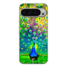 Чехол с птицами на Google Pixel 10 Pro XL (VPrint)