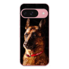 Чехлы с картинками животных Google Pixel 10 Pro – Овчарка