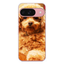 Чохли з собаками для Google Pixel 10 (VPrint) (Цуценя Бішон)