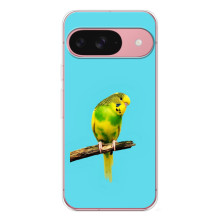 Силиконовый чехол с птичкой на Google Pixel 10