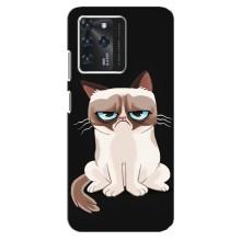 Чехол на тематику: Коты для Google Pixel 2 XL – Взгляд кота