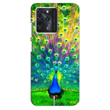 Чохол з пташками на Google Pixel 2 XL (VPrint) (Яскравий Павлин)