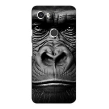 Чехлы с Горилой на Гугл Пиксель 3а ХЛ – Черная обезьяна