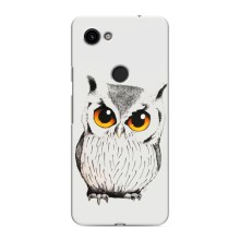 Чохол з пташками на Google Pixel 3a XL (VPrint) (Мила Сова)