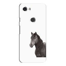 Чехлы с Лошадью дляGoogle Pixel 3a (VPrint) (Чорний кінь)