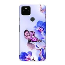 Чехлы с Цветами для Google Pixel 5 (VPrint) (Бабочка на цветочке)