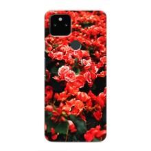 Чехлы с Цветами для Google Pixel 5 (VPrint) (Цветы красные)