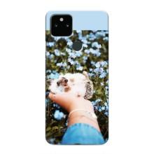 Чехлы с изображением разных животных для Google Pixel 5 (Ежик на руках)
