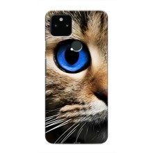 Чехлы с Котиками для Google Pixel 5 (VPrint) (Глаз кота)