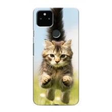 Чехлы с Котиками для Google Pixel 5 (VPrint) (Прыжок кота)