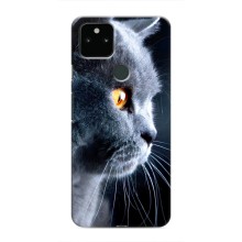 Чехлы с Котиками для Google Pixel 5 (VPrint) (Серый Кот)