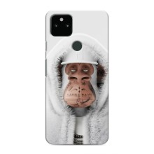 Чехлы с Обезьянами NFT для Google Pixel 5 (AlphaPrint) (обезьяна NFT в тату)