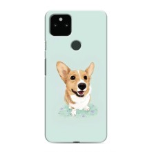 Чехлы с собаками для Google Pixel 5 (VPrint) (Корги)