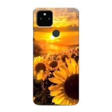 Чохол з Квітами для Google Pixel 5 (поле соняшників)