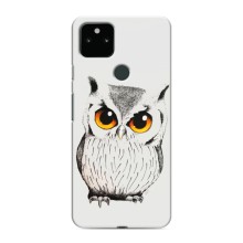 Чехол с птицами на Google Pixel 5 (VPrint) (Милая Сова)