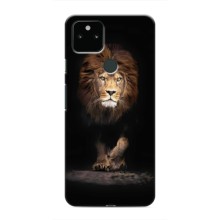 Чехол со Львом для Google Pixel 5 (VPrint) (Лев)