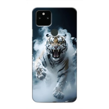 Чехол с картинкой «Хищники» для Google Pixel 5 – Тигр