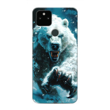 Чехол с картинкой «Хищники» для Google Pixel 5 – Медведь