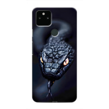 Чехол с картинкой «Хищники» для Google Pixel 5 – Змея