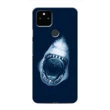 Силиконовый бампер с картинкой животных для Google Pixel 5 (Пасть Акулы)